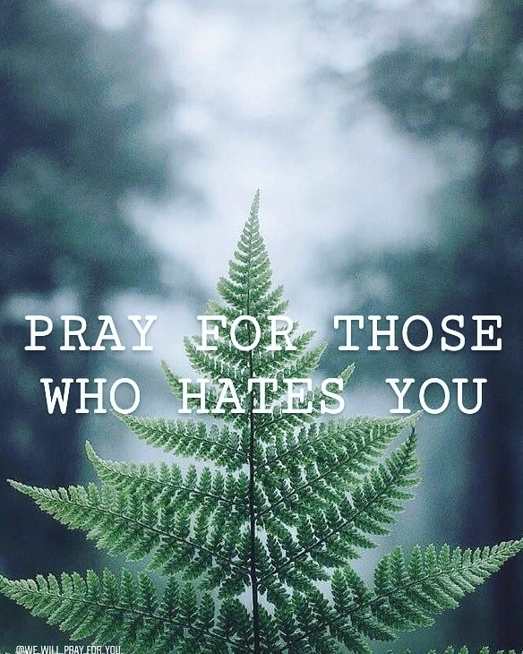 Bible