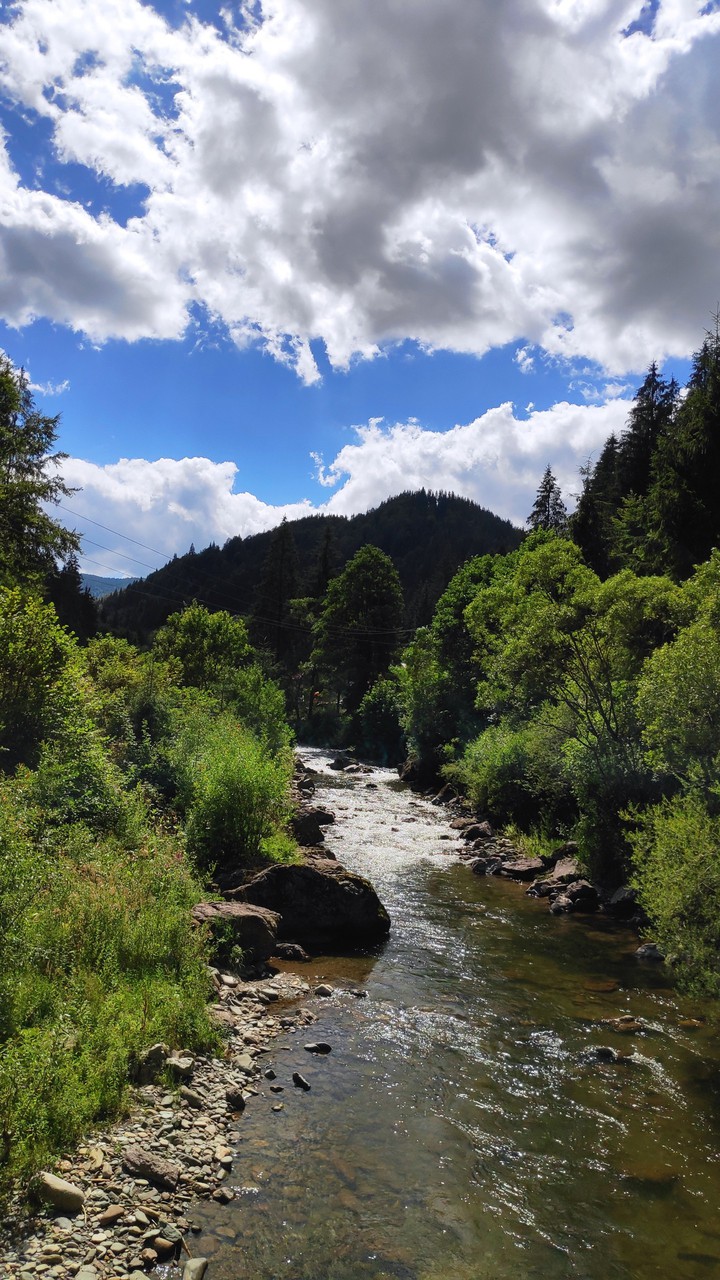 nature