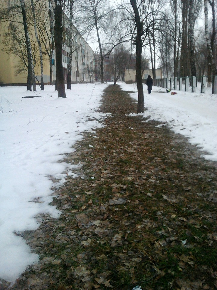 зима+осень