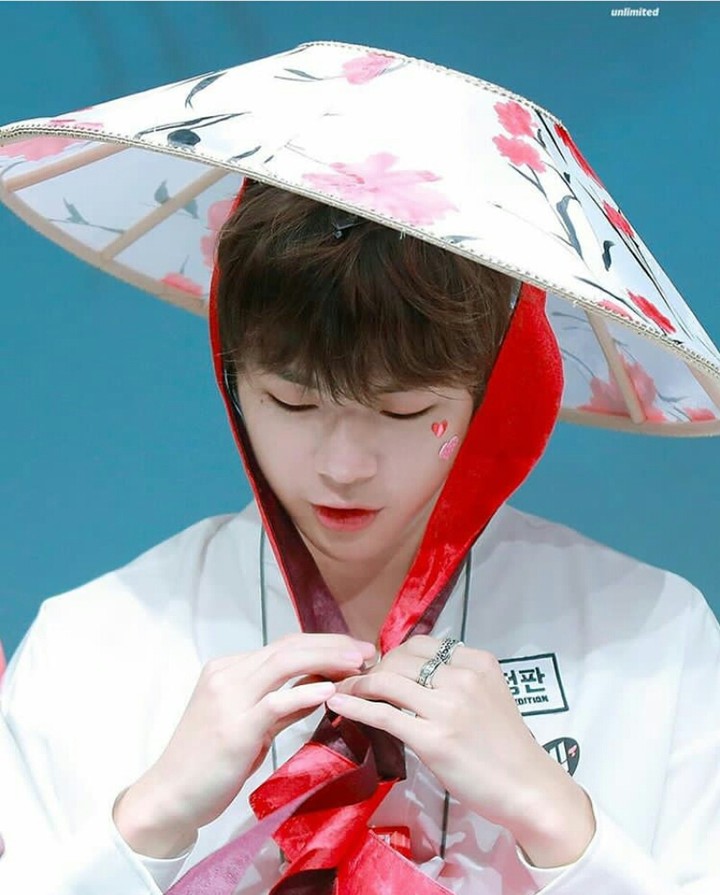 wanna one kang daniel