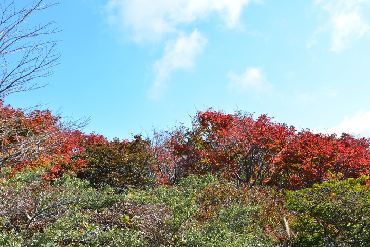 한라산이미지