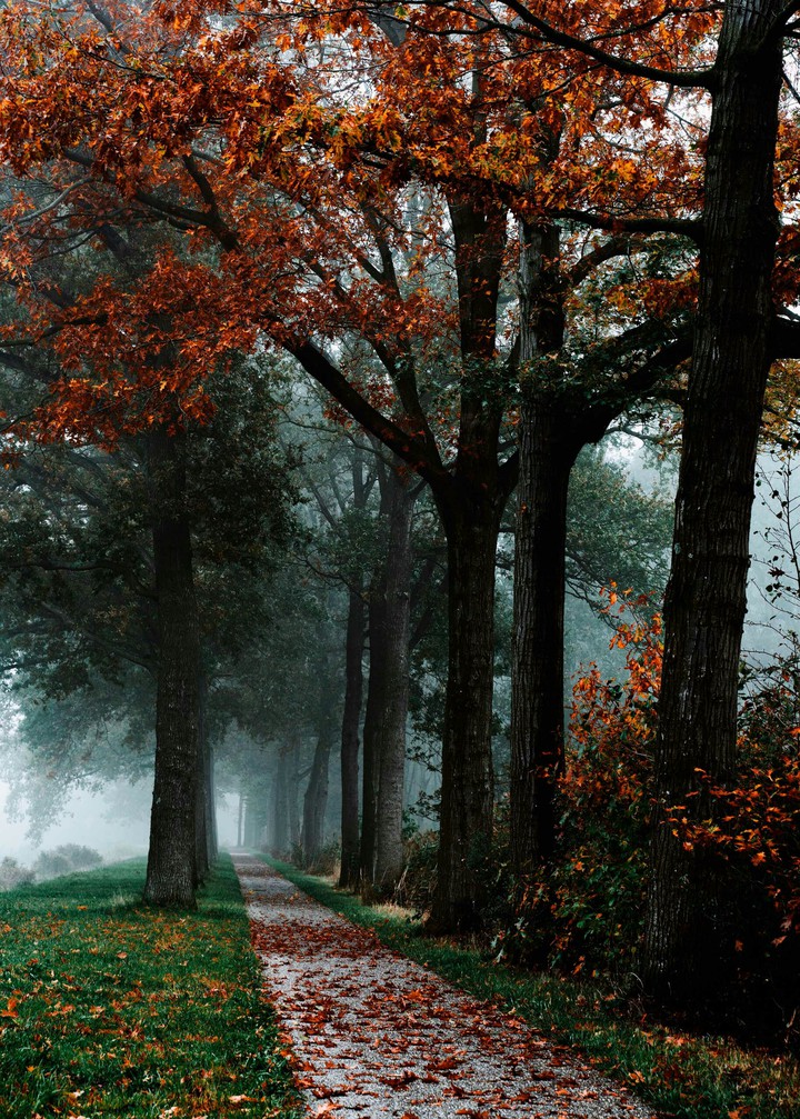 season