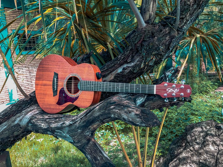 acoustic nature