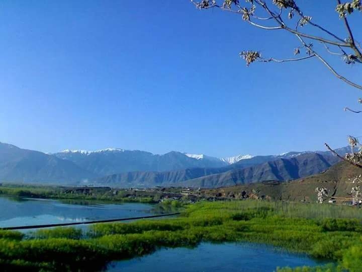 my kashmir