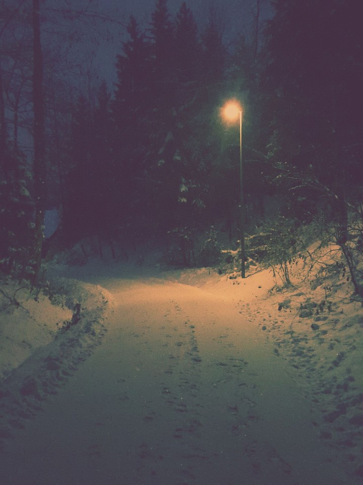 Snow Night