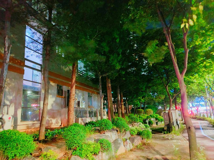 나무