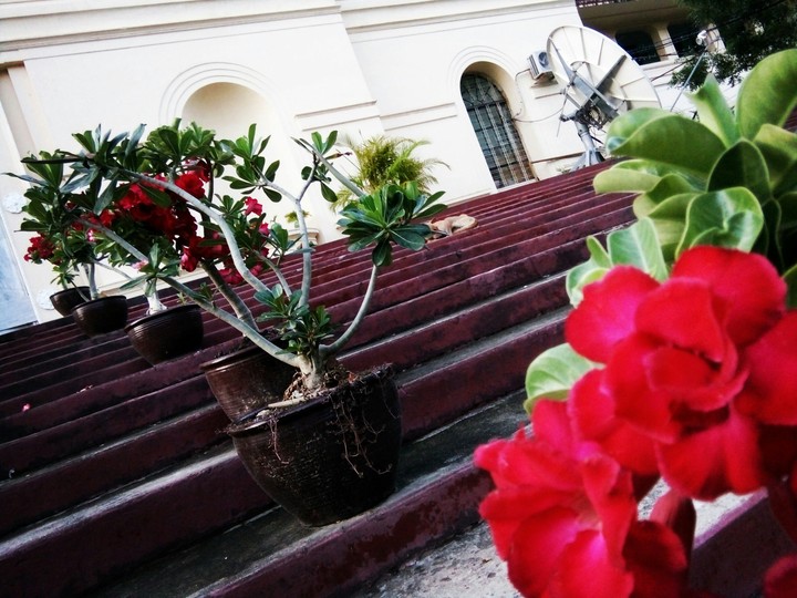 Uni Campus