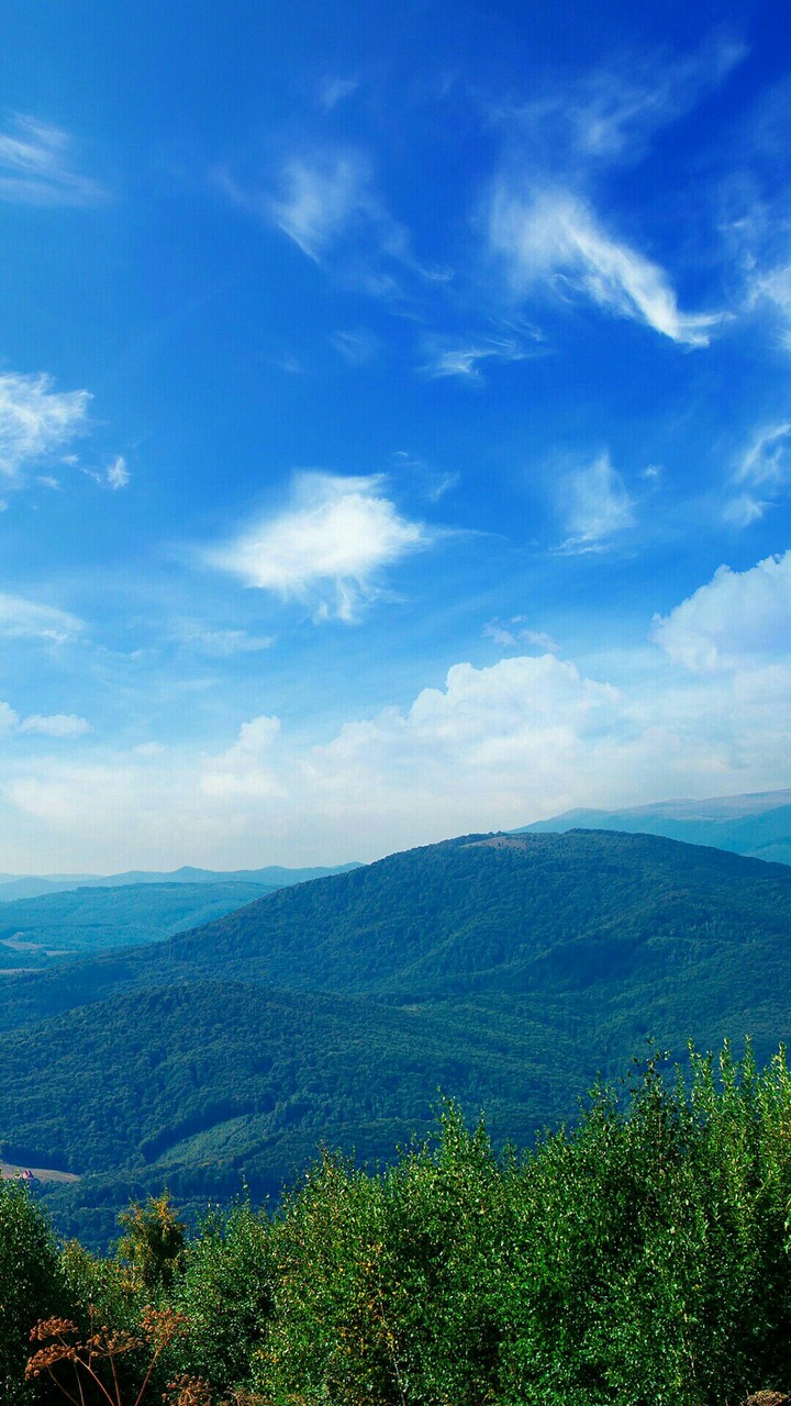 Nature