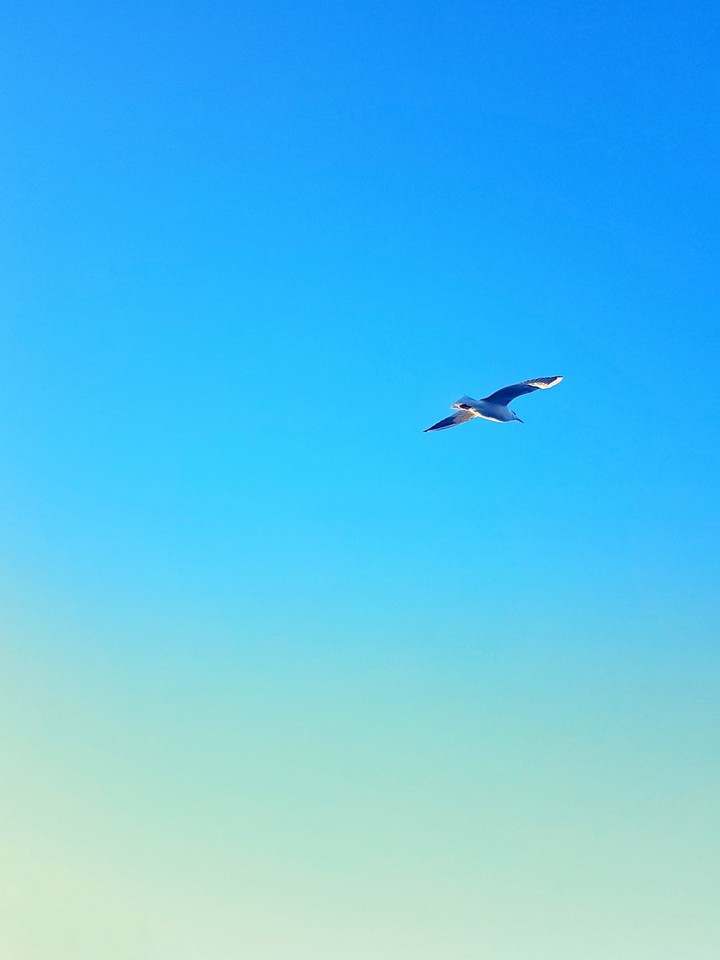 Heading South