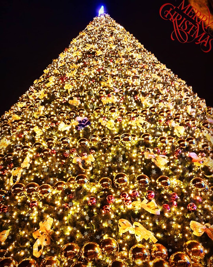 christmas tree
