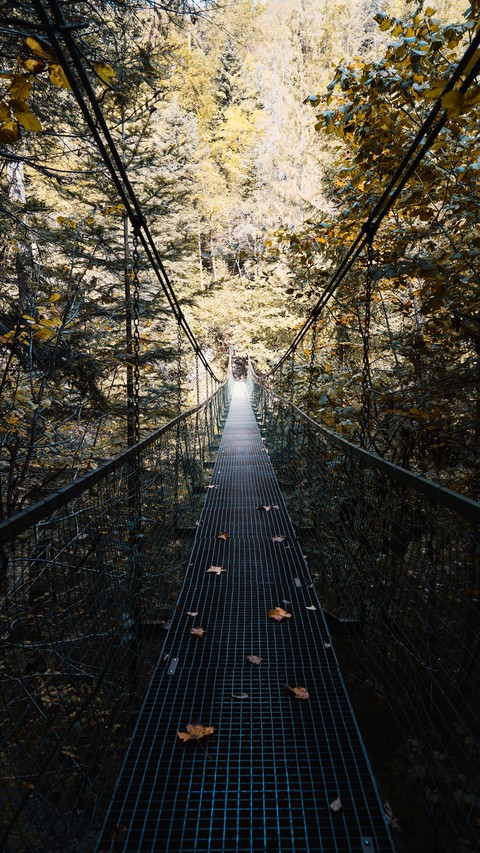 camino al otoño