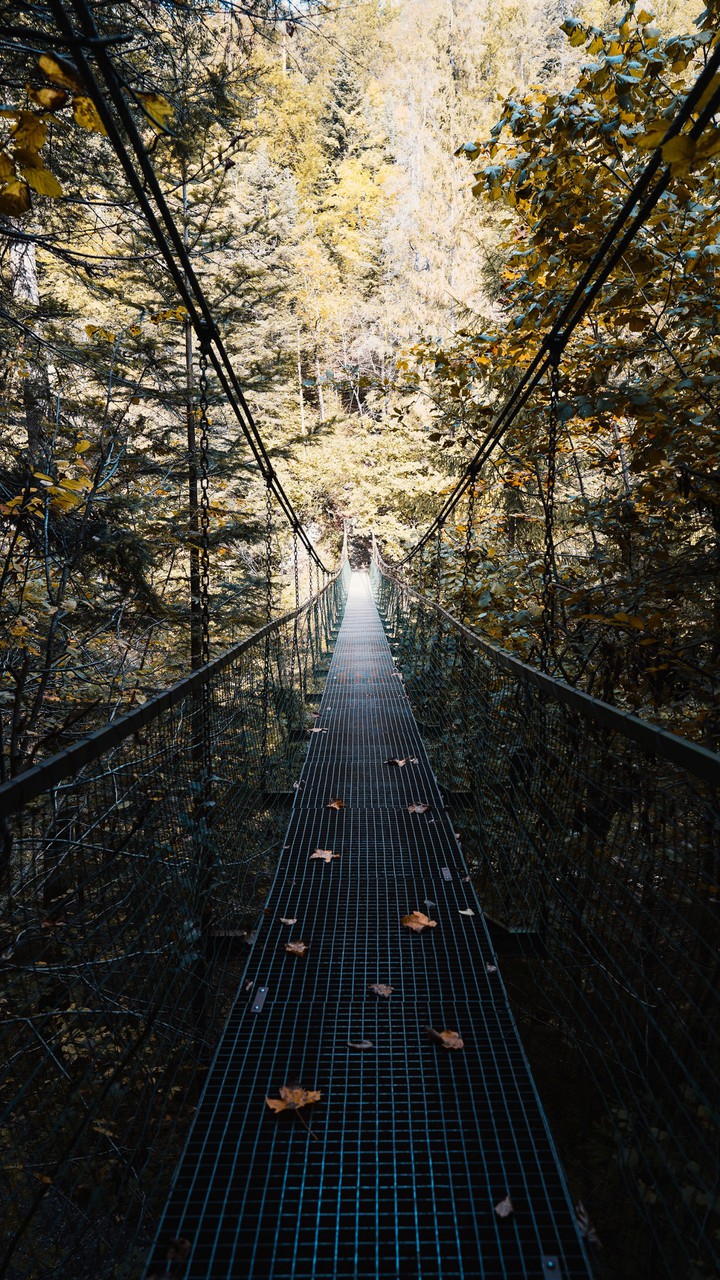 camino al otoño