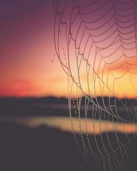 sunset, morning वॉलपेपर