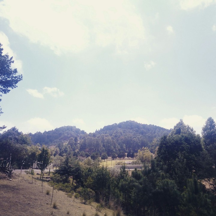 Monte