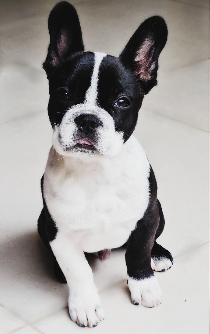 my baby
