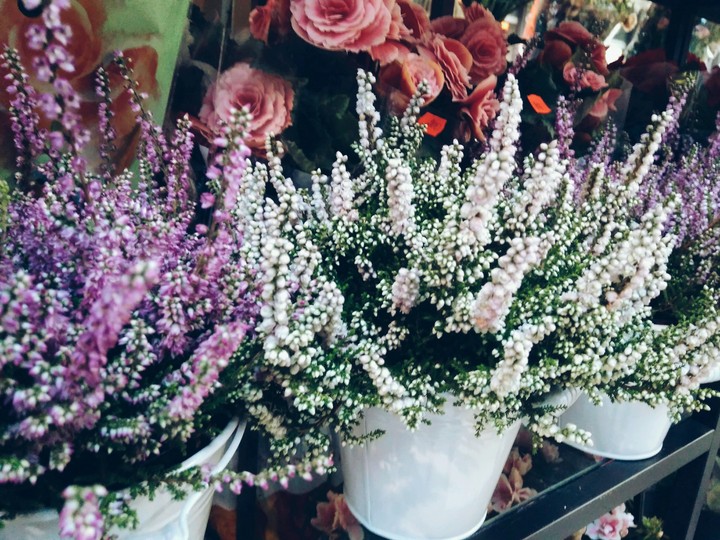 Flowers