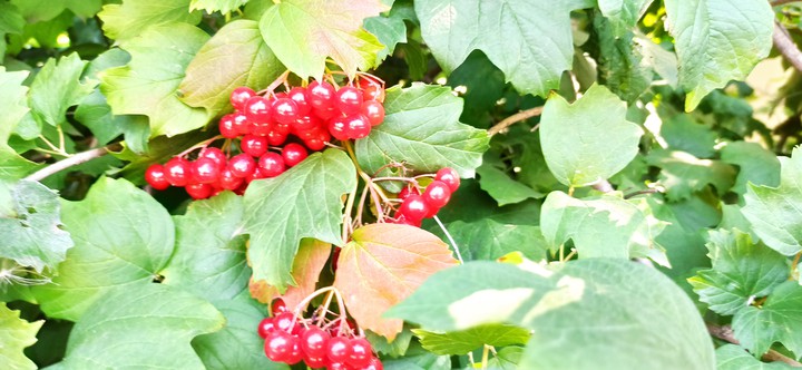 #Україна #осінь #autumn