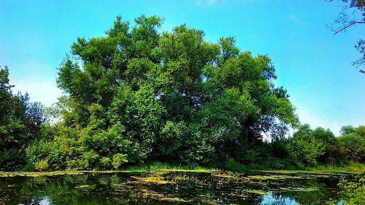 river