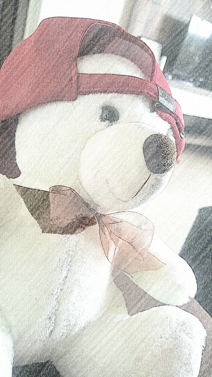 Cute Teddy Bear