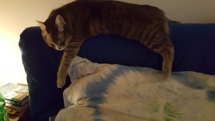 Sissi sleep