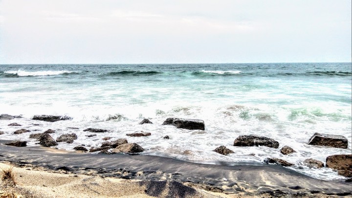 sea lover