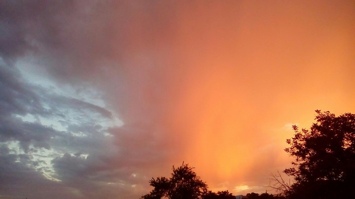 Sky