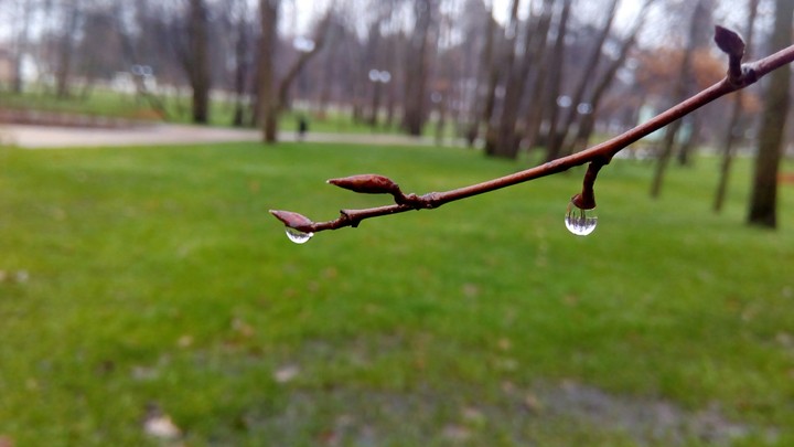 Walk after rainy day...