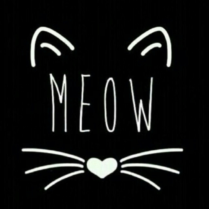 Black And White Cat