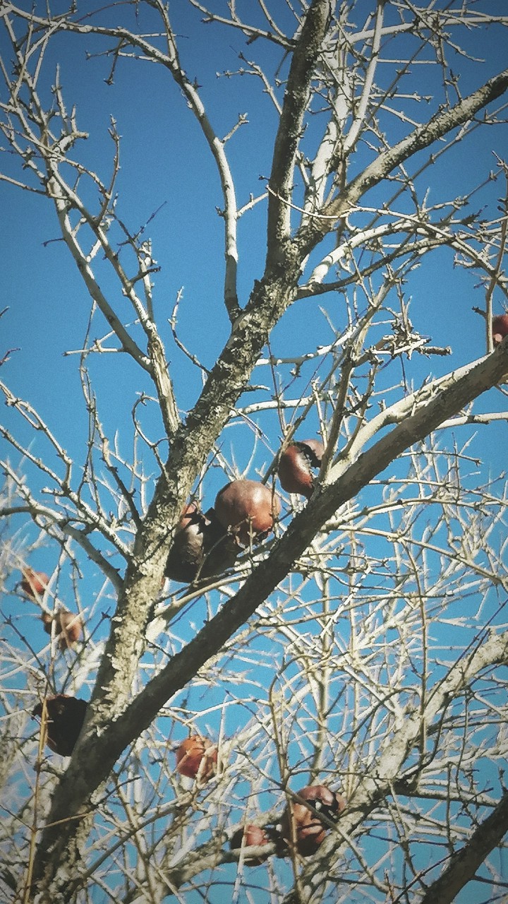 The End of Autumn