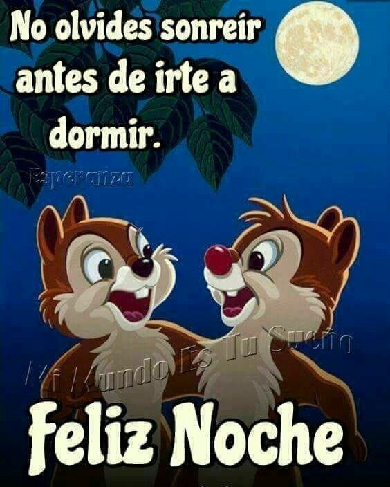 good night