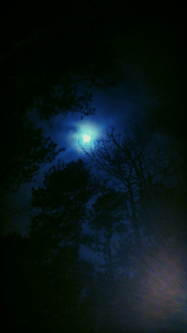 Full Moon
