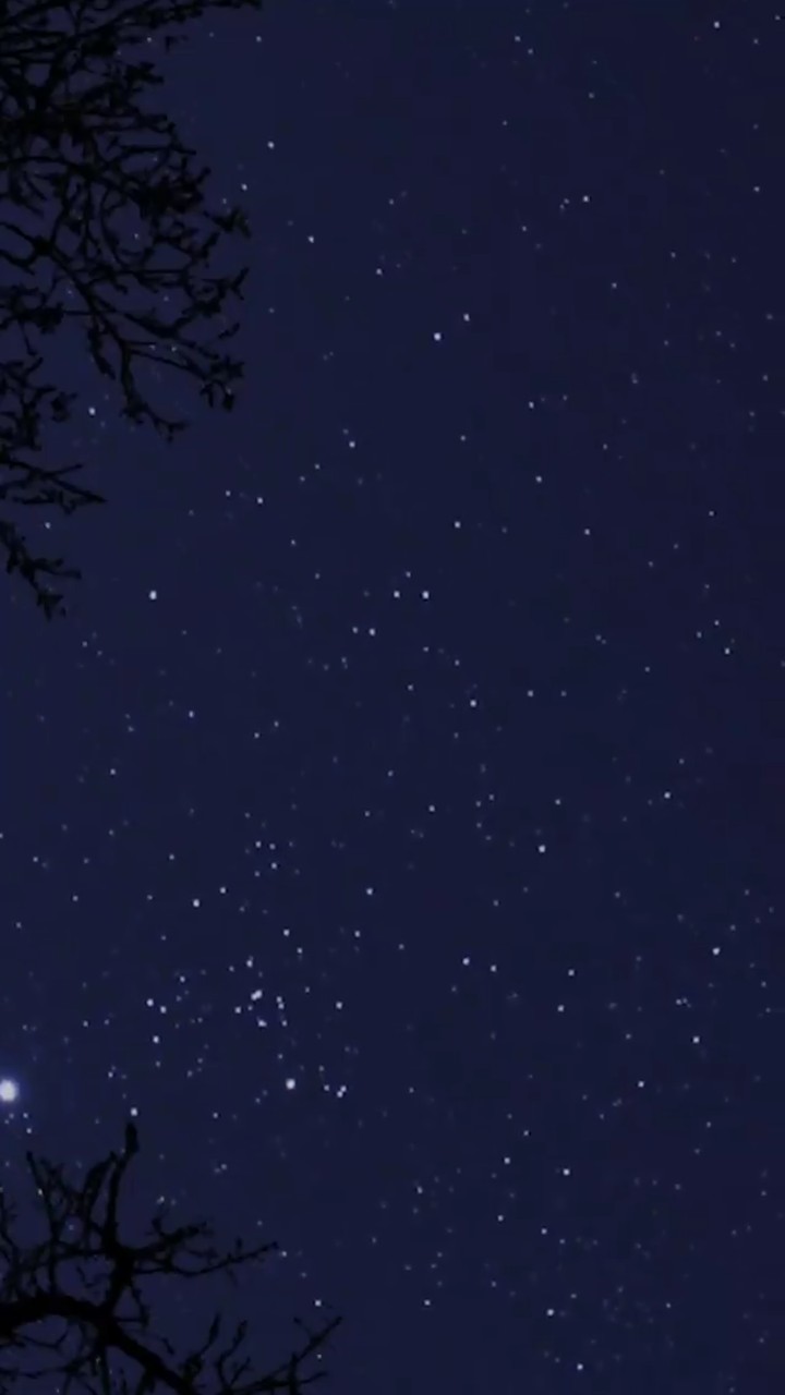 A Night time.