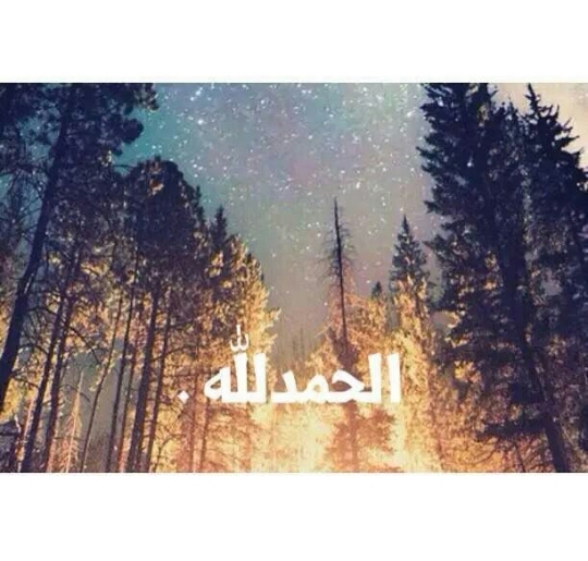 الحمدلله