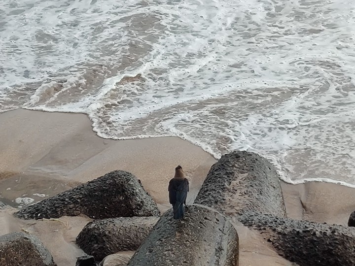 Solitude