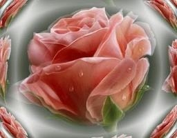 Sweet