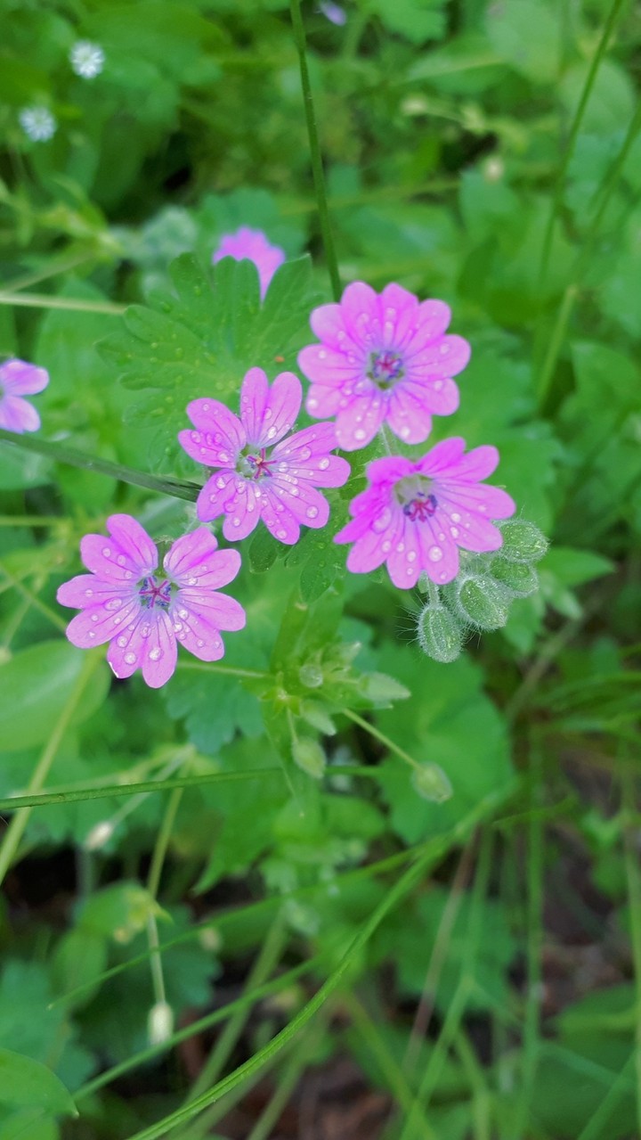 Small but very beautiful...
