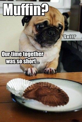 MUFFIN ??