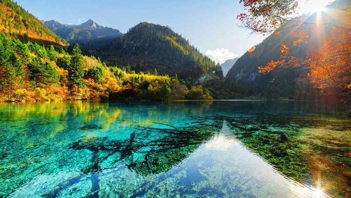 Nature