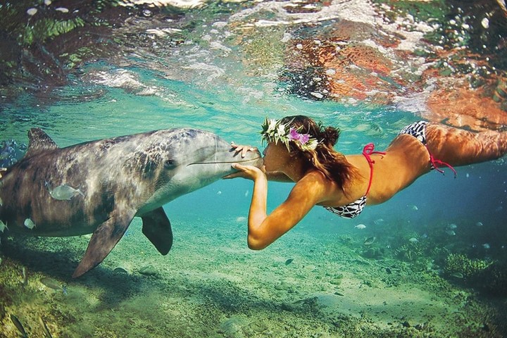 kiss