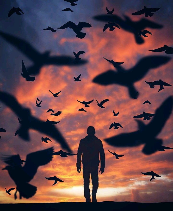 Birds