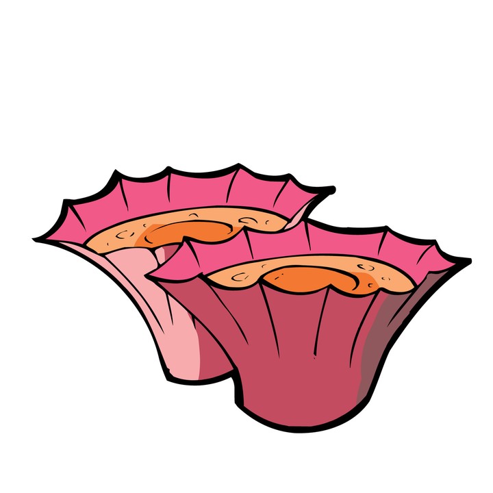 클립아트시리즈