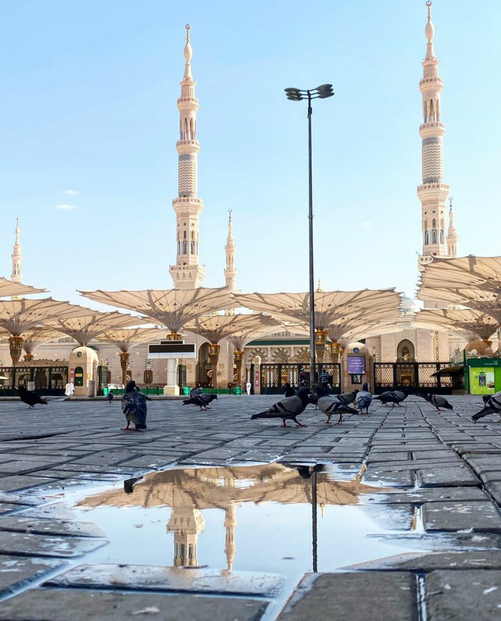 The credibility of Muhammad's prophethood ﷺ