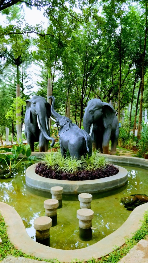 greenery all around elephants