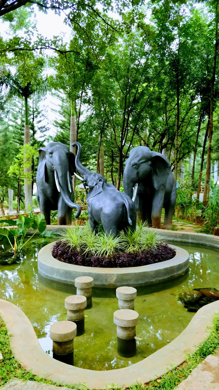 greenery all around elephants