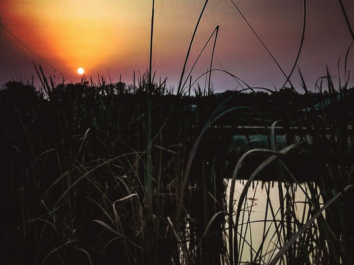 sunset