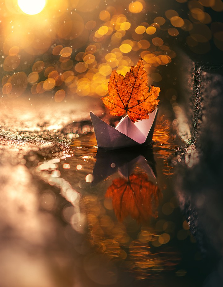 paperboat