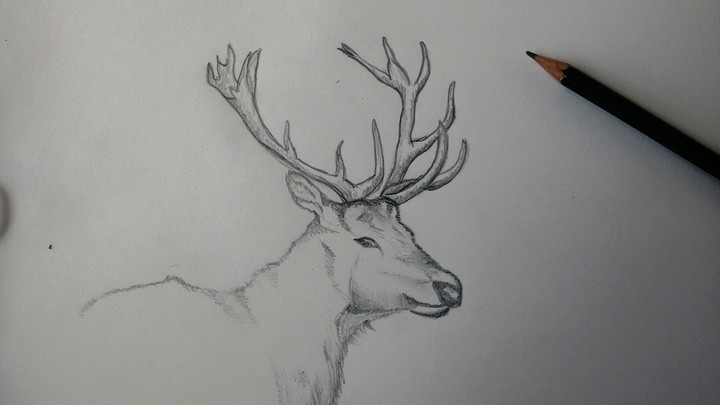 My Sketch...!!!!