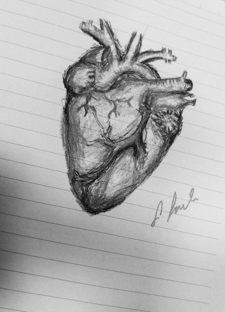 draw
