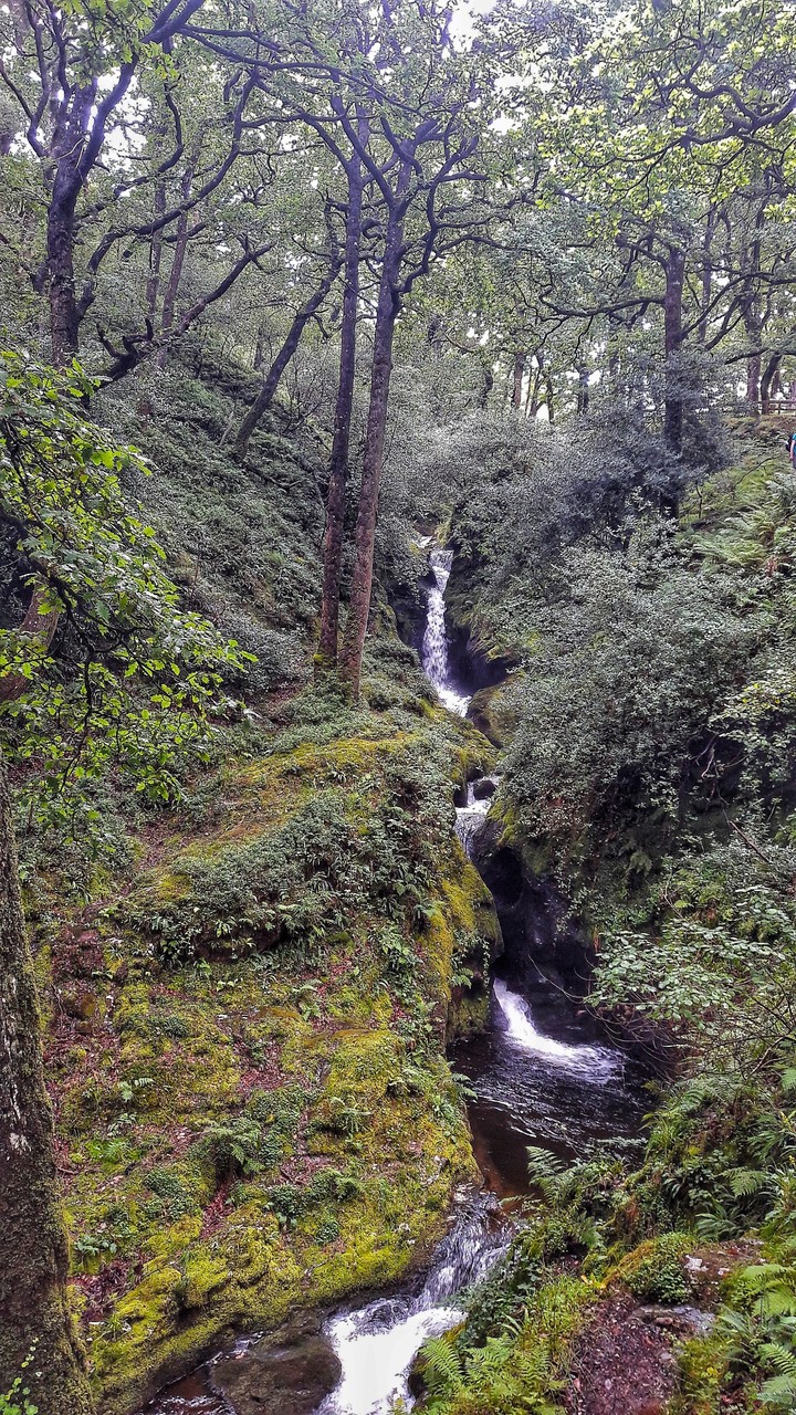 lonely waterfall