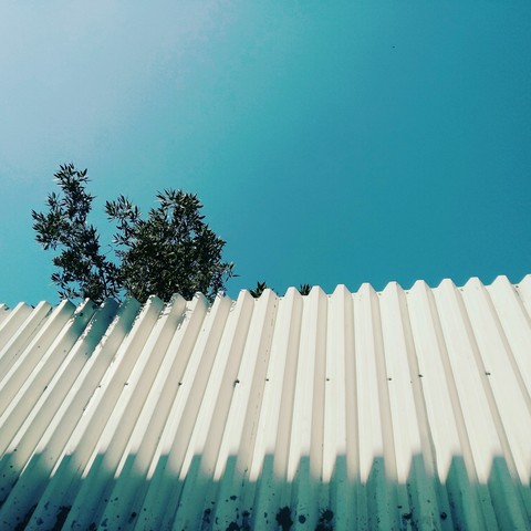 Blue Sky and a tree